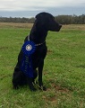 Vader WON the Amateur at the PRTA in Paige Tx